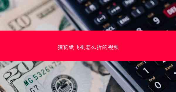猎豹纸飞机怎么折的视频