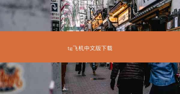 tg飞机中文版下载