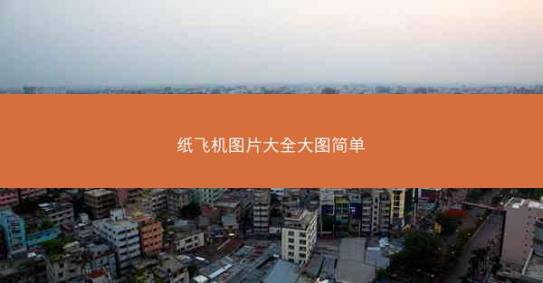 纸飞机图片大全大图简单