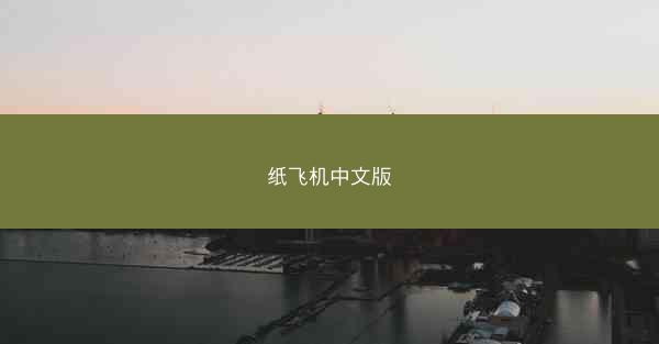 纸飞机中文版