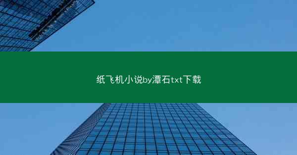 纸飞机小说by潭石txt下载
