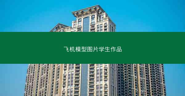 飞机模型图片学生作品