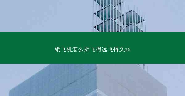 纸飞机怎么折飞得远飞得久a5