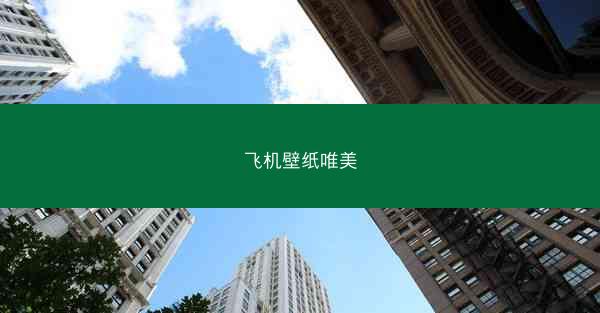 飞机壁纸唯美