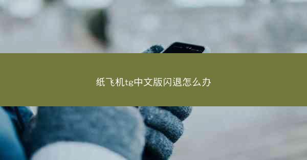 纸飞机tg中文版闪退怎么办