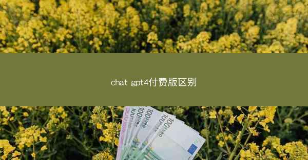 chat gpt4付费版区别