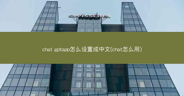 chat gptapp怎么设置成中文(chat怎么用)