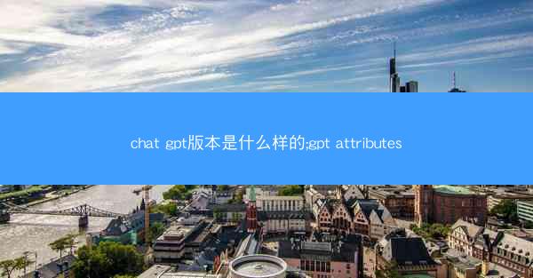 chat gpt版本是什么样的;gpt attributes
