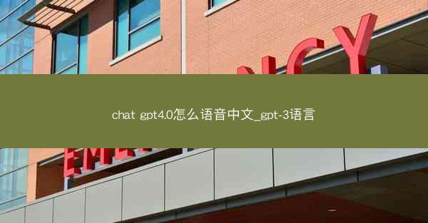 chat gpt4.0怎么语音中文_gpt-3语言