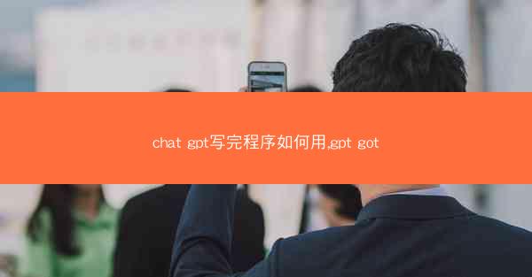chat gpt写完程序如何用,gpt got
