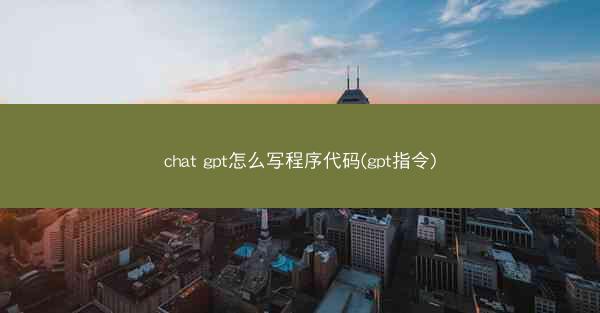 chat gpt怎么写程序代码(gpt指令)