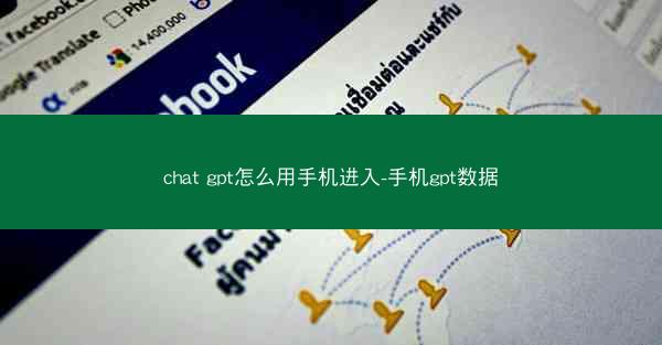 chat gpt怎么用手机进入-手机gpt数据