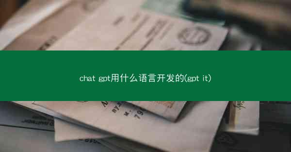 chat gpt用什么语言开发的(gpt it)