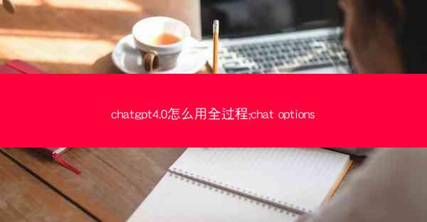 chatgpt4.0怎么用全过程;chat options