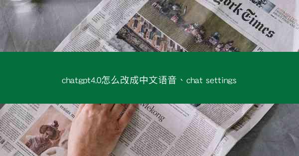 chatgpt4.0怎么改成中文语音、chat settings