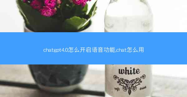 chatgpt4.0怎么开启语音功能,chat怎么用