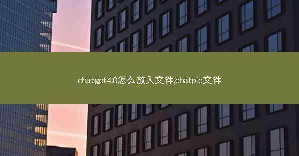 chatgpt4.0怎么放入文件,chatpic文件