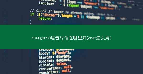 chatgpt4.0语音对话在哪里开(chat怎么用)