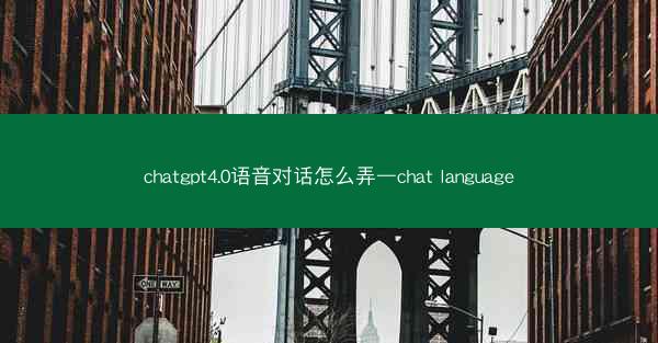 chatgpt4.0语音对话怎么弄—chat language