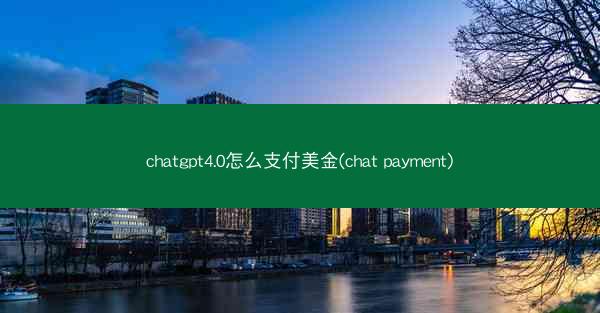 chatgpt4.0怎么支付美金(chat payment)