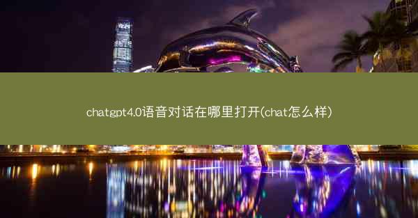chatgpt4.0语音对话在哪里打开(chat怎么样)