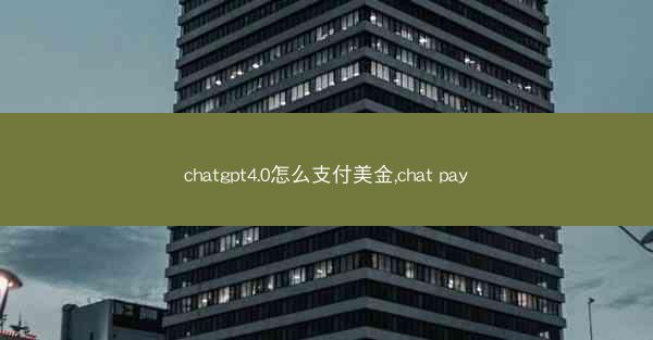 chatgpt4.0怎么支付美金,chat pay