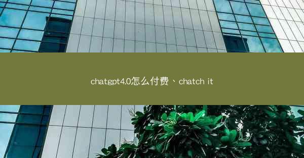 chatgpt4.0怎么付费、chatch it