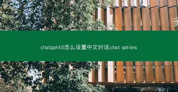 chatgpt4.0怎么设置中文对话,chat options