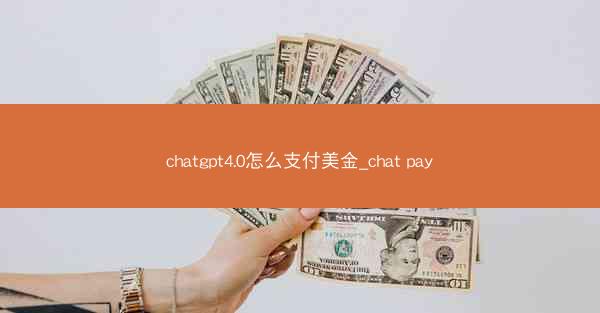 chatgpt4.0怎么支付美金_chat pay