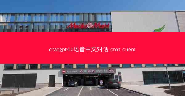 chatgpt4.0语音中文对话-chat client