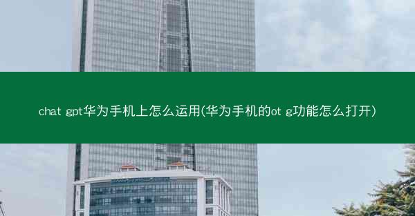chat gpt华为手机上怎么运用(华为手机的ot g功能怎么打开)