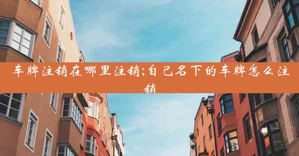 车牌注销在哪里注销;自己名下的车牌怎么注销