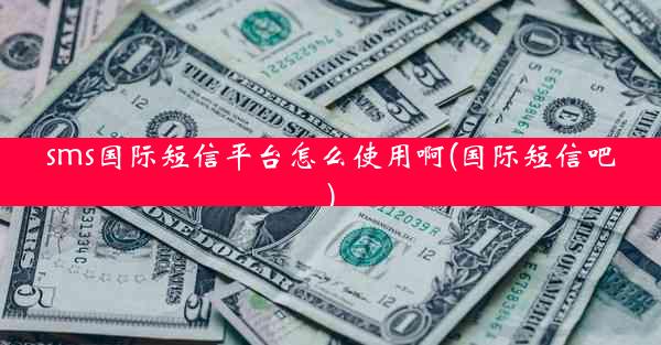 sms国际短信平台怎么使用啊(国际短信吧)