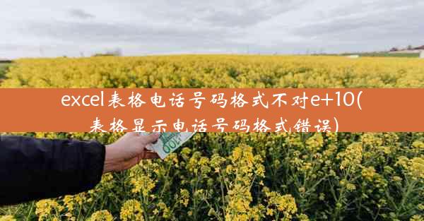 excel表格电话号码格式不对e+10(表格显示电话号码格式错误)