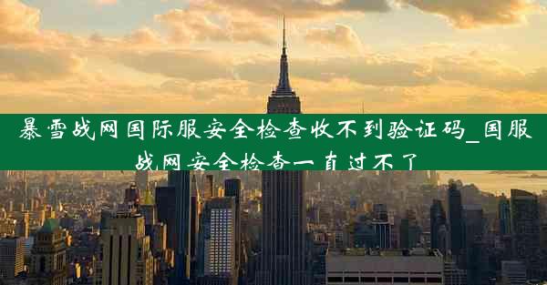 暴雪战网国际服安全检查收不到验证码_国服战网安全检查一直过不了