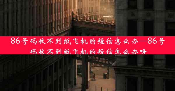 86号码收不到纸飞机的短信怎么办—86号码收不到纸飞机的短信怎么办呀