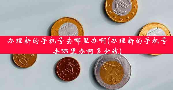 办理新的手机号去哪里办啊(办理新的手机号去哪里办啊多少钱)