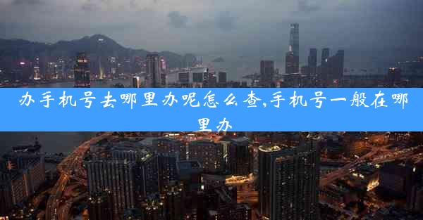 办手机号去哪里办呢怎么查,手机号一般在哪里办