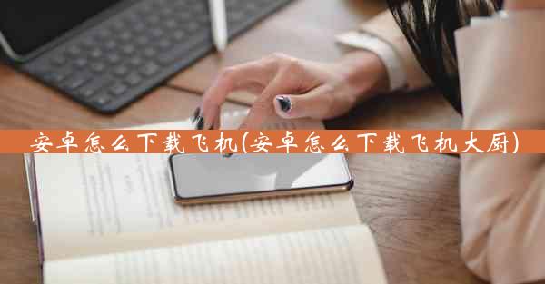 安卓怎么下载飞机(安卓怎么下载飞机大厨)