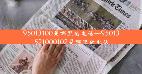 95013100是哪里的电话—95013521000102是哪里的电话