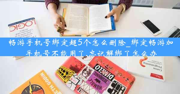 畅游手机号绑定超5个怎么删除_绑定畅游加手机号不能用了,忘记解绑了怎么办