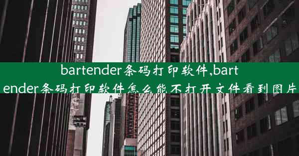 bartender条码打印软件,bartender条码打印软件怎么能不打开文件看到图片