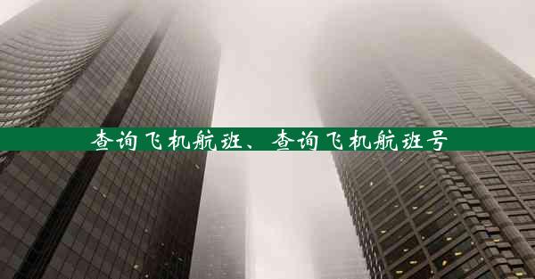 查询飞机航班、查询飞机航班号