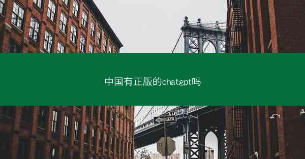 中国有正版的chatgpt吗