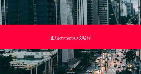 正版chatgpt4.0长啥样