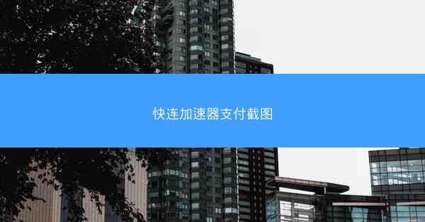 快连加速器支付截图