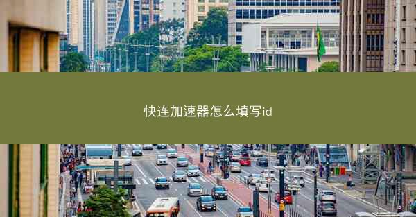 快连加速器怎么填写id