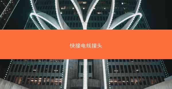 快接电线接头