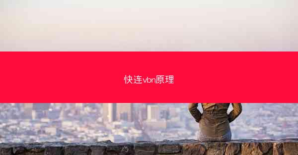 快连vbn原理
