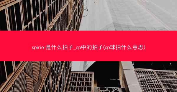 spirior是什么拍子_sp中的拍子(sp球拍什么意思)